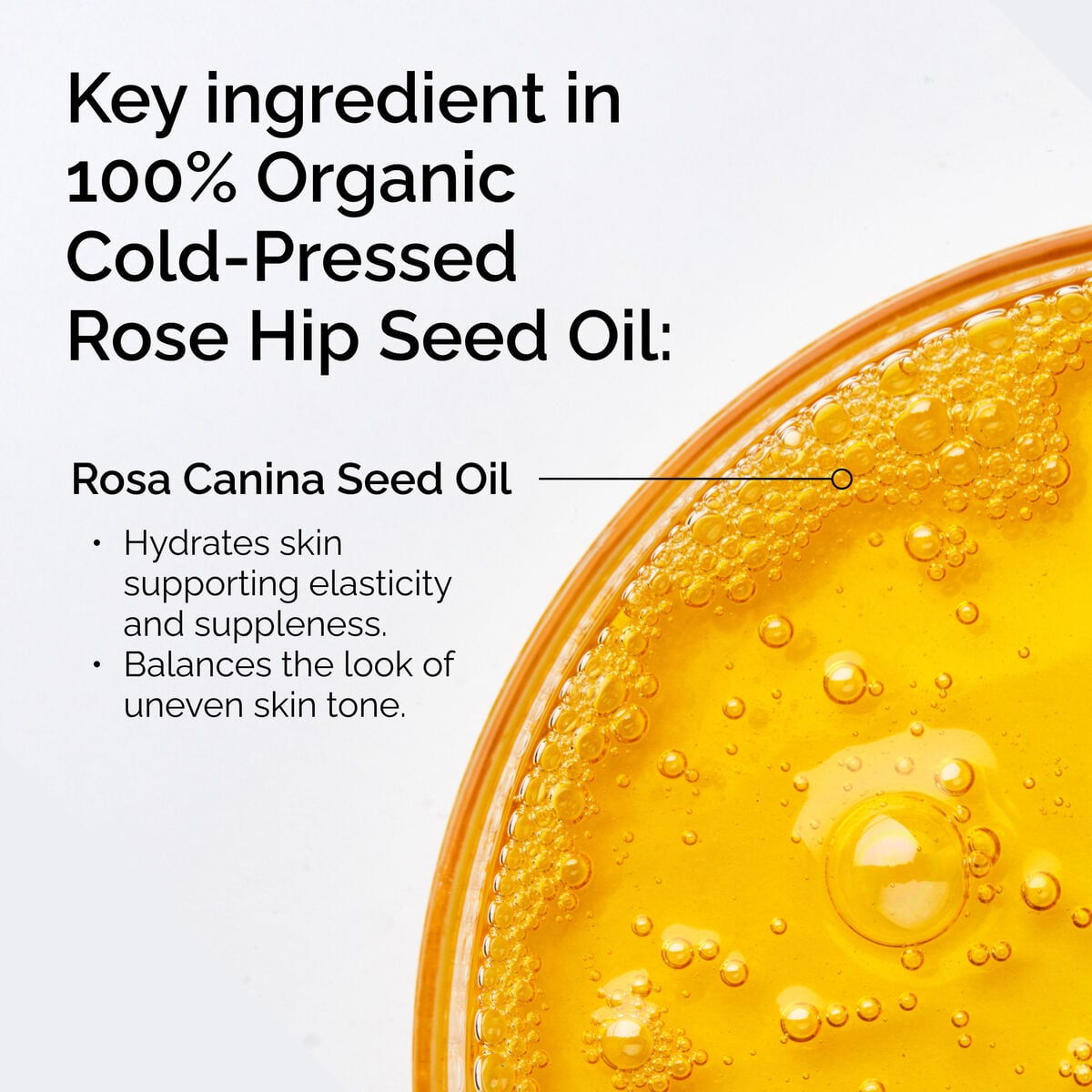 100-organic-cold-pressed-rose-hip-seed-oil-n1 FY25-D41247-ORD-Web-PDP-100-Rose-Hip-Oil-1x1-EN-2.jpg