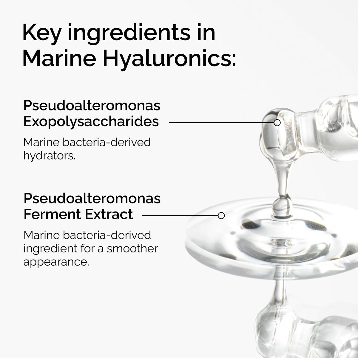 marine-hyaluronics-d2 FY25-D41247-ORD-Web-PDP-Marine-Hya-1x1-EN-2a.jpg