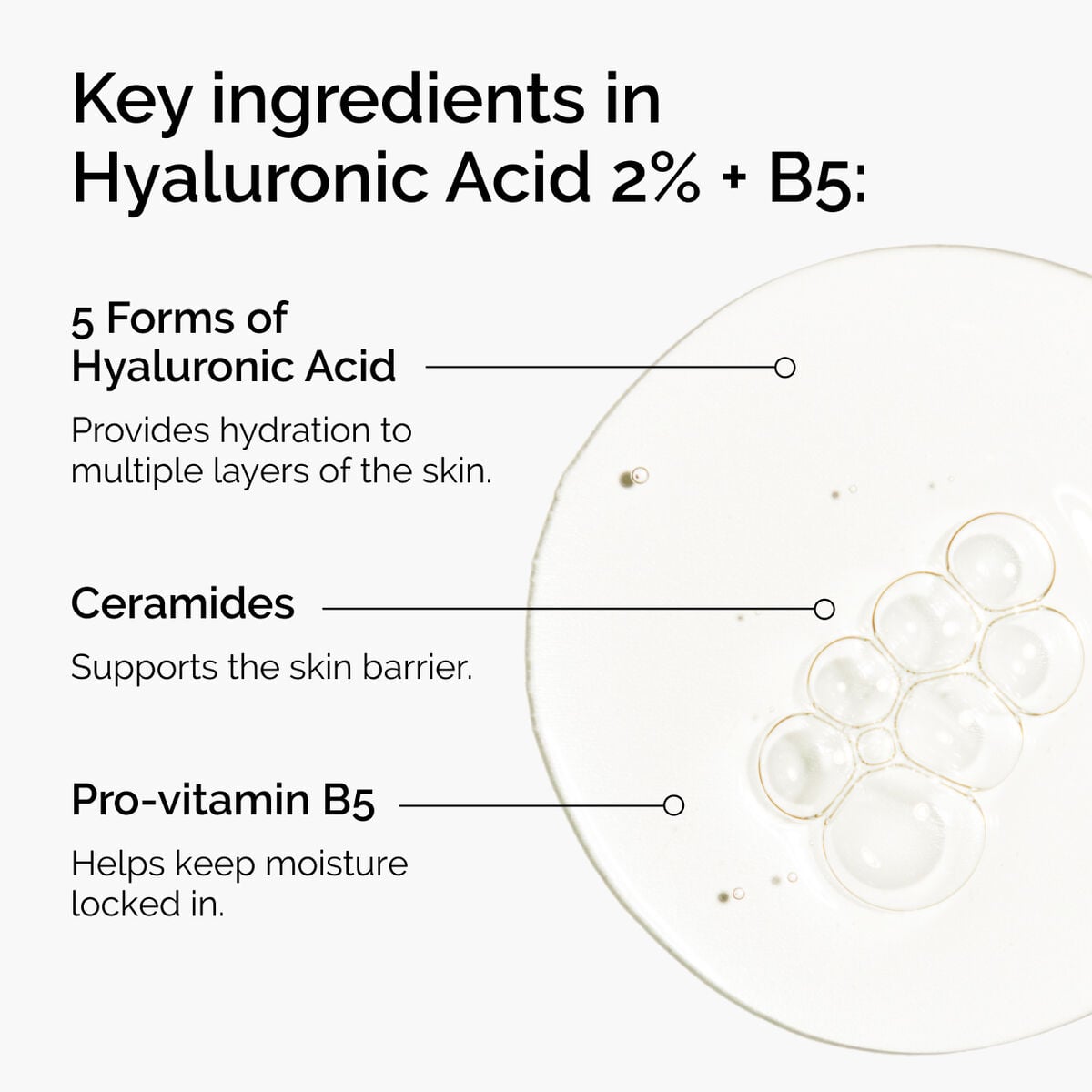 hyaluronic-acid-2-b5-with-ceramides-t2 ord-hyaluronic-acid-2pct-b5-hydrating-serum-ingredients-graphic.jpg